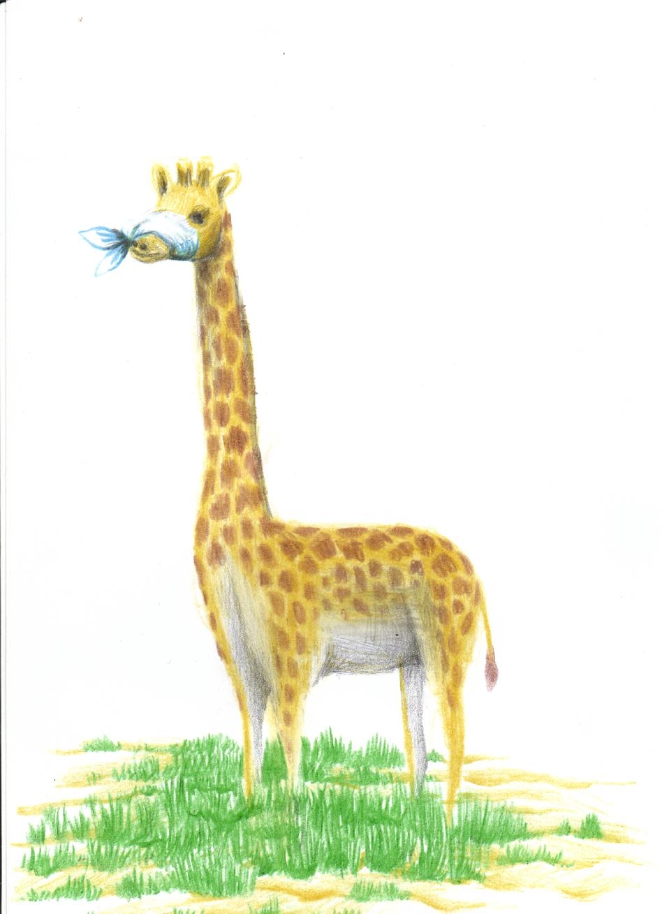 Uma girafa com uma mordaça na boca indicando que a girafa não fala.