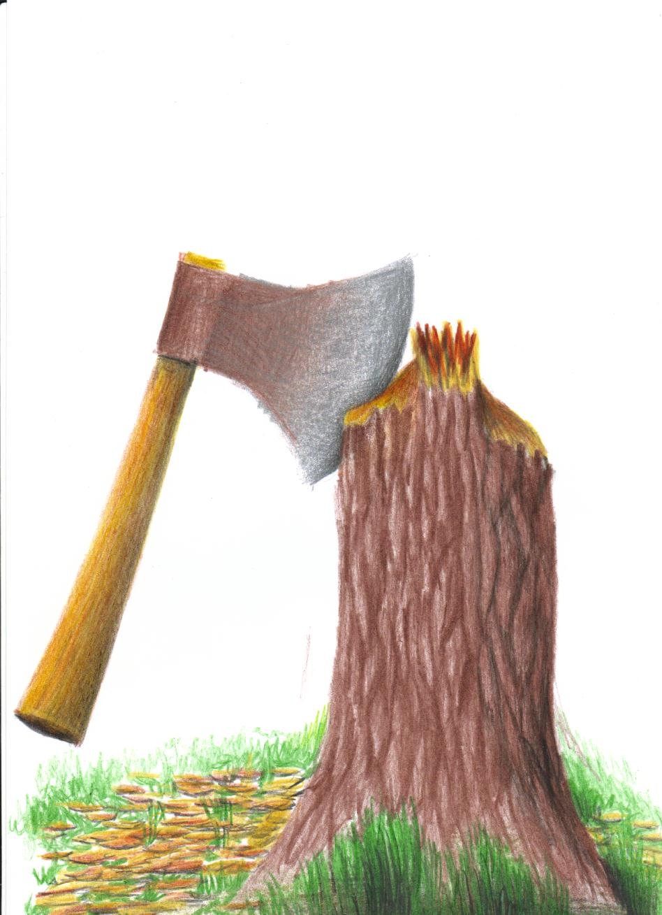 Uma machadinha cravada sobre o toco de uma árvore recém cortada. Lascas estão espalhadas pelo chão.