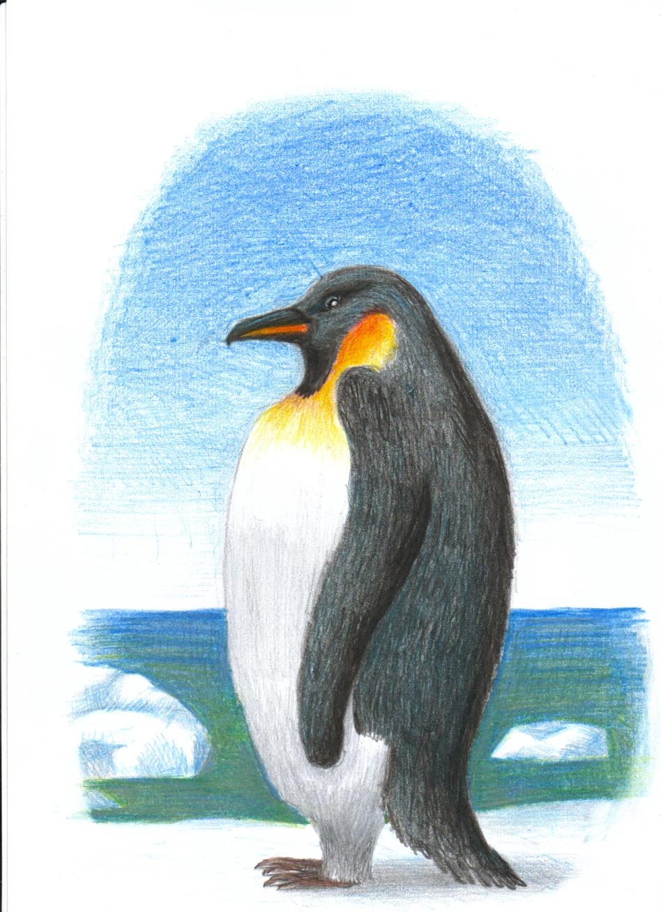 Um pinguim sobre um bloco de gêlo no mar